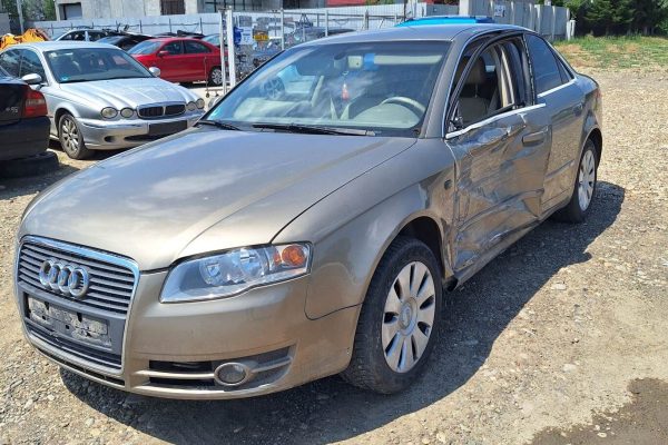 20260721_135417 VigadAuto (Site mic)